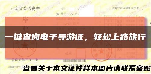 一鍵查詢電子導游證，輕松上路旅行縮略圖