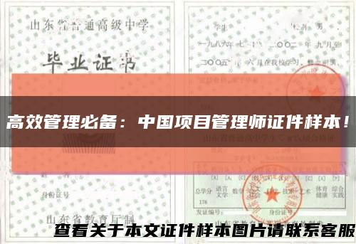 高效管理必備：中國項目管理師證件樣本！縮略圖