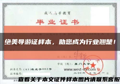 絕美導游證樣本，助您成為行業翹楚！縮略圖