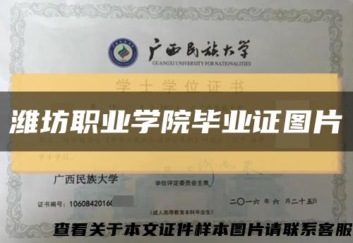 濰坊職業學院畢業證圖片縮略圖