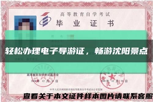 輕松辦理電子導游證，暢游沈陽景點縮略圖