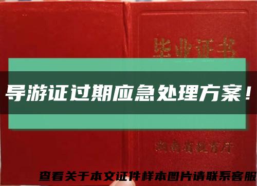 導游證過期應急處理方案！縮略圖
