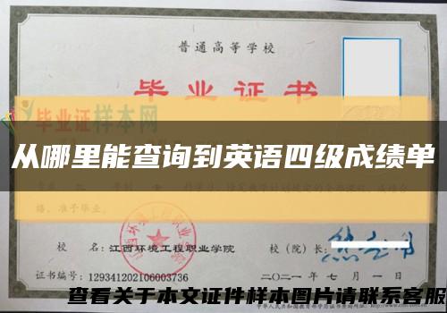 從哪里能查詢到英語四級成績單縮略圖