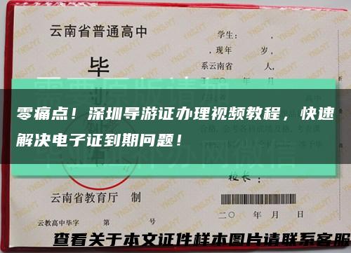 零痛點！深圳導游證辦理視頻教程，快速解決電子證到期問題！縮略圖