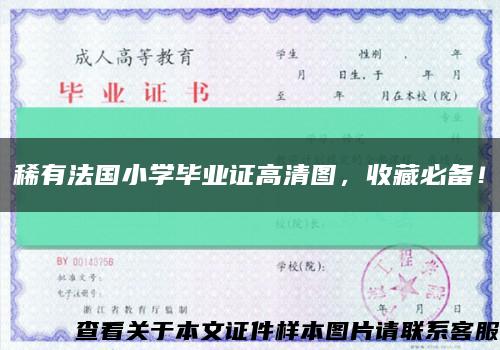 稀有法國小學畢業證高清圖，收藏必備！縮略圖