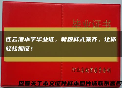 連云港小學畢業證，新穎樣式集齊，讓你輕松擁證！縮略圖