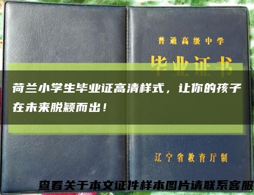 荷蘭小學生畢業證高清樣式，讓你的孩子在未來脫穎而出！縮略圖