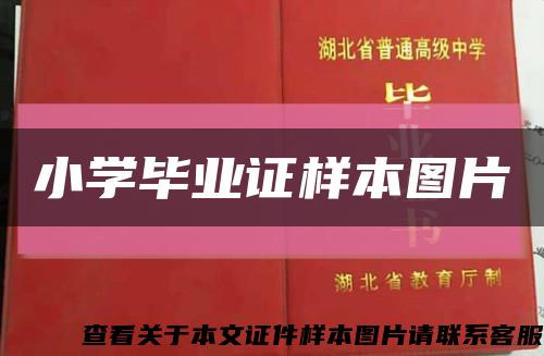 小學畢業證樣本圖片縮略圖