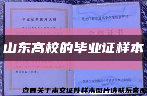 山東高校的畢業證樣本縮略圖