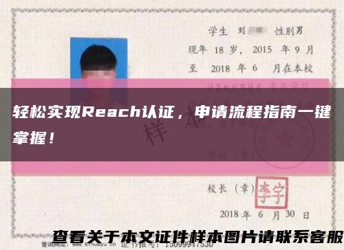 輕松實現Reach認證，申請流程指南一鍵掌握！縮略圖