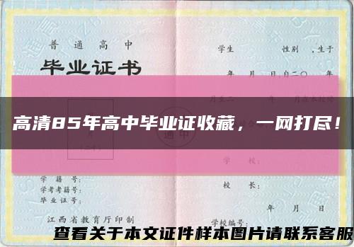 高清85年高中畢業證收藏，一網打盡！縮略圖