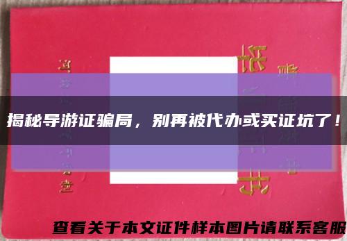 揭秘導游證騙局，別再被代辦或買證坑了！縮略圖