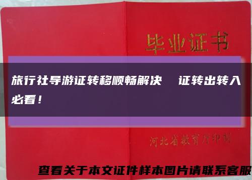 旅行社導游證轉移順暢解決  證轉出轉入必看！縮略圖