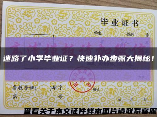 迷路了小學畢業證？快速補辦步驟大揭秘！縮略圖
