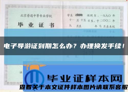 電子導游證到期怎么辦？辦理換發手續！縮略圖