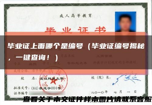 畢業證上面哪個是編號（畢業證編號揭秘，一鍵查詢?。┛s略圖