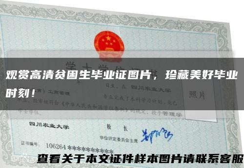 觀賞高清貧困生畢業證圖片，珍藏美好畢業時刻！縮略圖