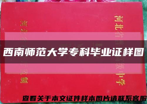 西南師范大學?？飘厴I證樣圖縮略圖