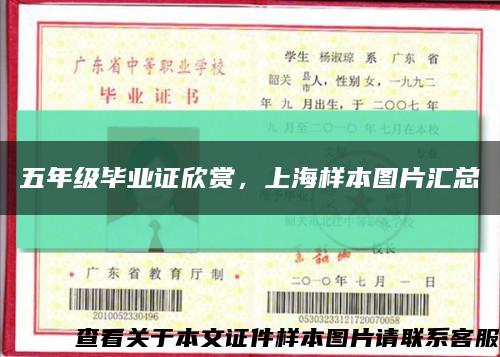 五年級畢業證欣賞，上海樣本圖片匯總縮略圖