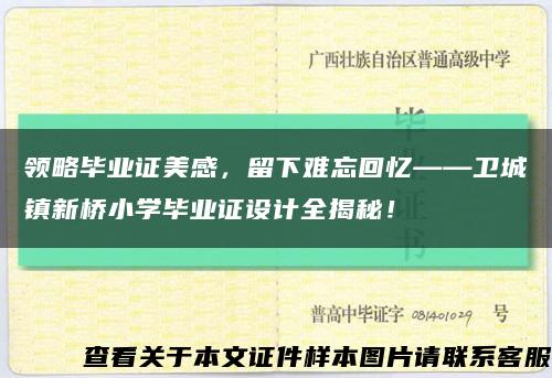 領略畢業證美感，留下難忘回憶——衛城鎮新橋小學畢業證設計全揭秘！縮略圖