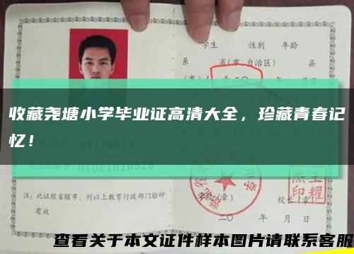 收藏堯塘小學畢業證高清大全，珍藏青春記憶！縮略圖