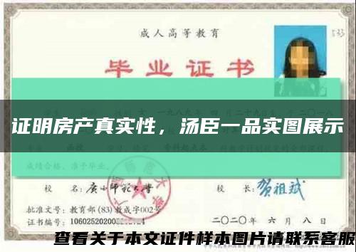 證明房產真實性，湯臣一品實圖展示縮略圖