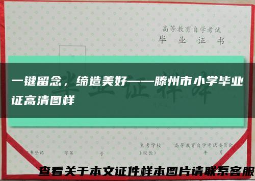 一鍵留念，締造美好——滕州市小學畢業證高清圖樣縮略圖