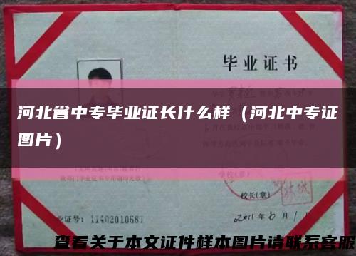 河北省中專畢業證長什么樣（河北中專證圖片）縮略圖