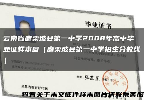 云南省麻栗坡縣第一中學2008年高中畢業證樣本圖（麻栗坡縣第一中學招生分數線）縮略圖