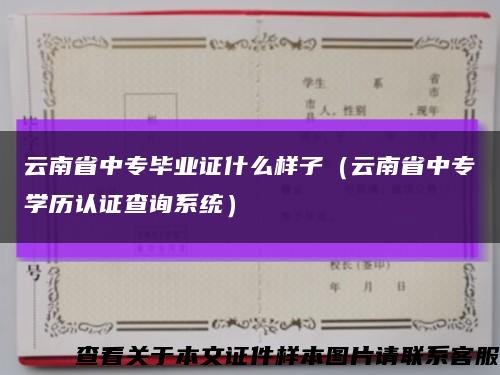 云南省中專畢業證什么樣子（云南省中專學歷認證查詢系統）縮略圖