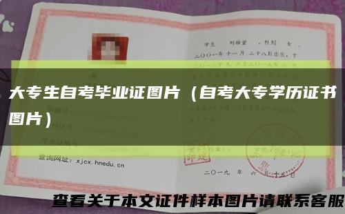大專生自考畢業證圖片（自考大專學歷證書圖片）縮略圖