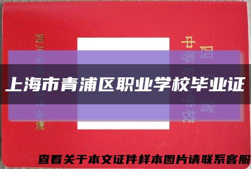 上海市青浦區職業學校畢業證縮略圖