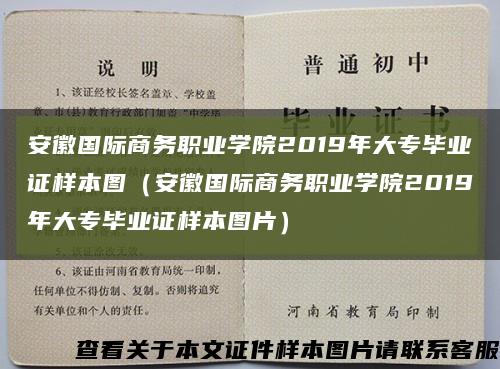安徽國際商務職業學院2019年大專畢業證樣本圖（安徽國際商務職業學院2019年大專畢業證樣本圖片）縮略圖