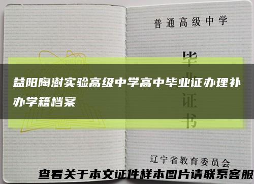 益陽陶澍實驗高級中學高中畢業證辦理補辦學籍檔案縮略圖