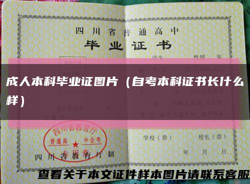 成人本科畢業證圖片（自考本科證書長什么樣）縮略圖