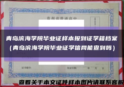 青島濱海學院畢業證樣本報到證學籍檔案（青島濱海學院畢業證學信網能查到嗎）縮略圖