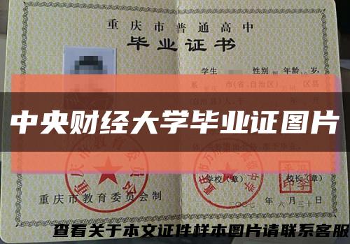 中央財經大學畢業證圖片縮略圖