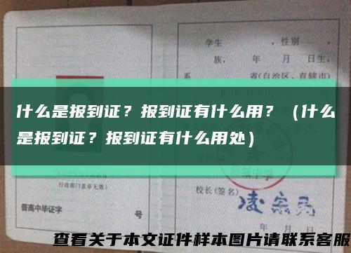 什么是報到證？報到證有什么用？（什么是報到證？報到證有什么用處）縮略圖