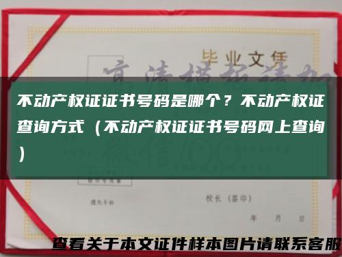 不動產權證證書號碼是哪個？不動產權證查詢方式（不動產權證證書號碼網上查詢）縮略圖