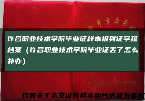 許昌職業技術學院畢業證樣本報到證學籍檔案（許昌職業技術學院畢業證丟了怎么補辦）縮略圖