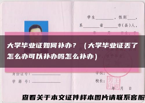 大學畢業證如何補辦？（大學畢業證丟了怎么辦可以補辦嗎怎么補辦）縮略圖