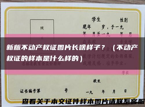 新版不動產權證圖片長啥樣子？（不動產權證的樣本是什么樣的）縮略圖