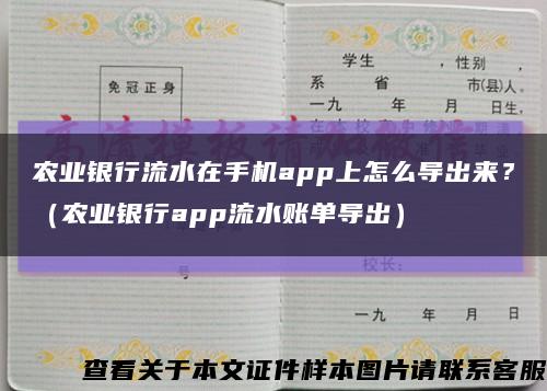 農業銀行流水在手機app上怎么導出來？（農業銀行app流水賬單導出）縮略圖