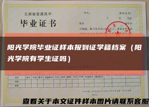 陽光學院畢業證樣本報到證學籍檔案（陽光學院有學生證嗎）縮略圖