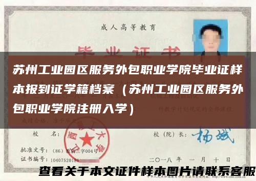 蘇州工業園區服務外包職業學院畢業證樣本報到證學籍檔案（蘇州工業園區服務外包職業學院注冊入學）縮略圖