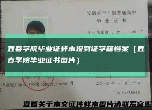 宜春學院畢業證樣本報到證學籍檔案（宜春學院畢業證書圖片）縮略圖