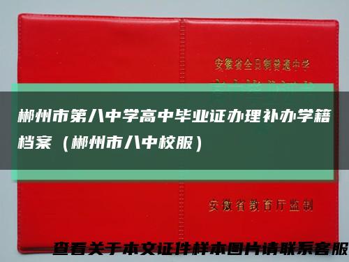 郴州市第八中學高中畢業證辦理補辦學籍檔案（郴州市八中校服）縮略圖