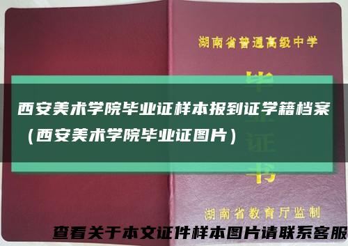西安美術學院畢業證樣本報到證學籍檔案（西安美術學院畢業證圖片）縮略圖