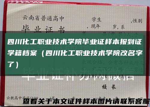四川化工職業技術學院畢業證樣本報到證學籍檔案（四川化工職業技術學院改名字了）縮略圖