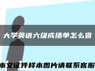 大學英語六級成績單怎么查縮略圖